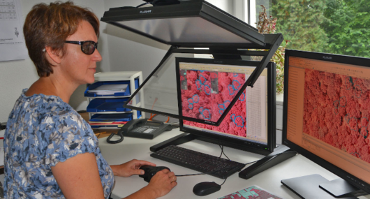 3D Luftbildauswertung