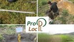 Collage aus verschiedenen Bildern von Bodenprofilen und jungen Weiden