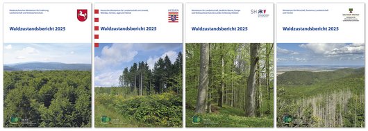 Titelblätter der Waldzustandsberichte der 4 Trägerländer von 2025