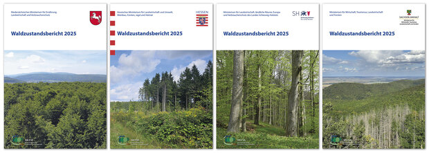 Titelblätter der Waldzustandsberichte der 4 Trägerländer von 2025