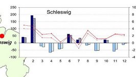 Grafik zur Witterung in Schleswig im Jahr 2020