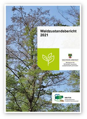 Titelbild des Waldzustandsberichts 2021 von Sachsen-Anhalt