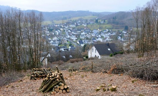 Brennholzhaufen vor der Kulisse eines Dorfes