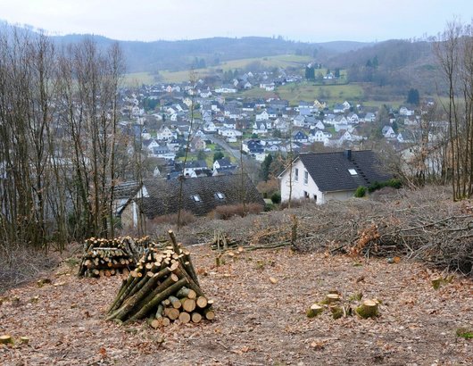 Brennholzhaufen vor der Kulisse eines Dorfes