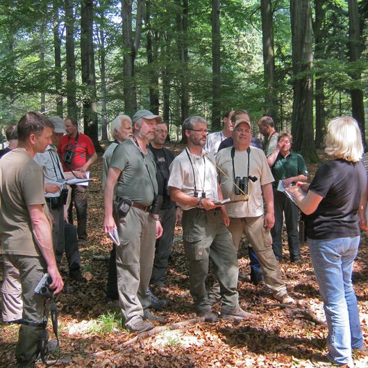 Viele Forstleute im Wald lauschen einer Vortragenden