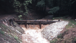 Schäumender Fluss (Foto: NW-FVA)