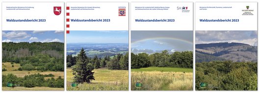 Titelblätter der Waldzustandsberichte der 4 Trägerländer von 2023