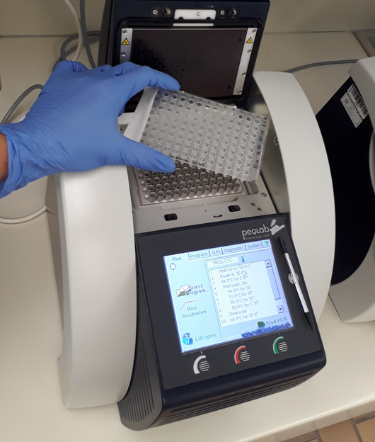 moderne DNA-Analytik