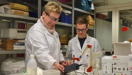 Arbeit im Labor