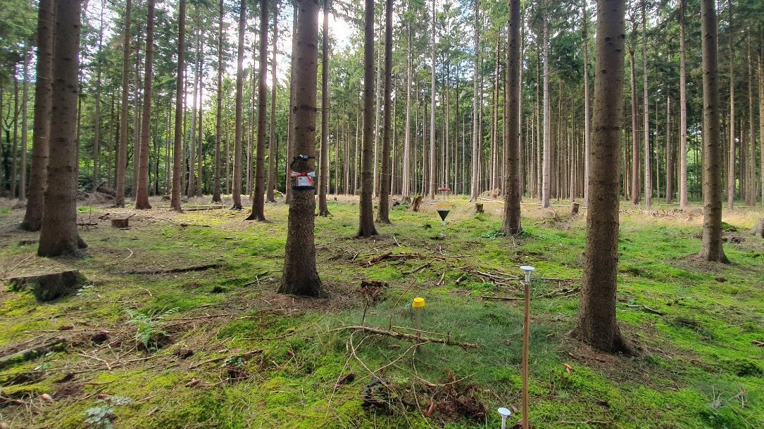 Blick in einen Wald mit Messinstrumenten