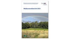 Titel des Waldzustandsberichtes 2023 von Schleswig-Holstein