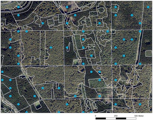 Luftbild mit Polygonen der Waldeinteilung und Stichprobenraster