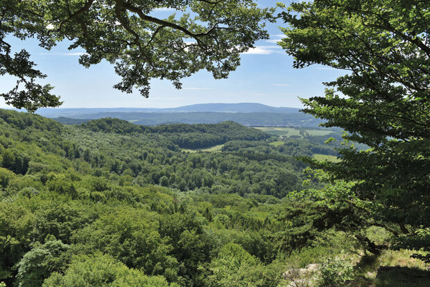 Mittelgebirgslandschaft mit Wald