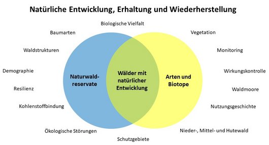 Diagramm zur natürlichen Entwicklung, Erhaltung und Wiederherstellung von Wäldern