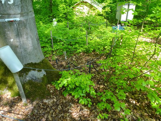 Bodenhydrologisches Messfeld auf der Versuchsfläche Krofdorf