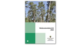 Titel des Waldzustandsberichts 2022 des Landes Sachsen-Anhalt