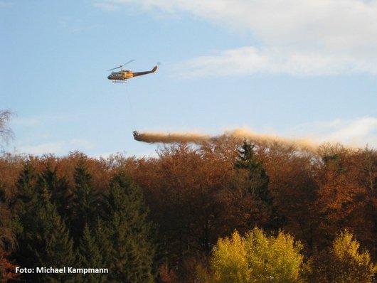 Auf dem Foto ist eine Kompensationskalkung mittels Hubschrauber im Wald abgebildet. Foto: M. Kampmann