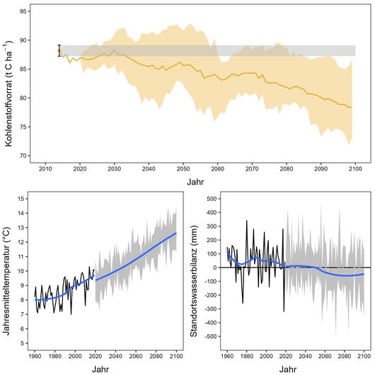 3 verschiedene Graphiken zeigen die Entwicklung von Bodenkohlenstoffvorräten bis zum Jahr 2100