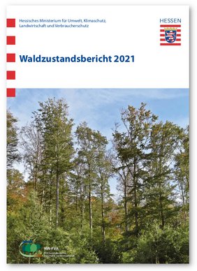 Titel des hessischen Waldzustandsberichts 2021