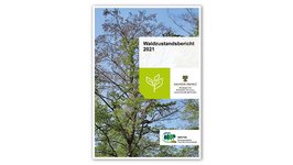 Titelbild des Waldzustandsberichts 2021 von Sachsen-Anhalt