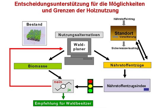 Grafik zur Entscheidungsunterstützung für die Möglichkeiten und Grenzen der Holznutzung (Grafik: NW-FVA)