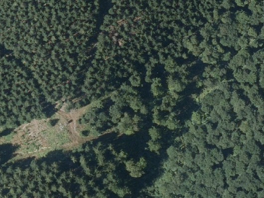 Auf dem Foto ist ein Luftbild mit Waldbeständen mit unterschiedlichen strukturellen Eigenschaften abgebildet.