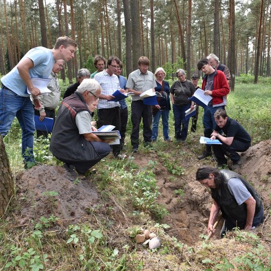 Gruppe von Forstleuten diskutiert an einem Loch im Boden im Wald.
