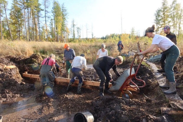 eine Gruppe von Menschen verfüllt einen Grab in einem Waldmoor