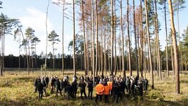 Gruppe von Menschen auf einer stark geschädigten Waldfläche