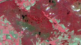 Die Abbildung zeigt grün eingefärbte Fraßzentren der Kiefernbuschhornblattwespe,  Aufnahme des Satellitensystems RapidEye 2009, RapidEye AG 