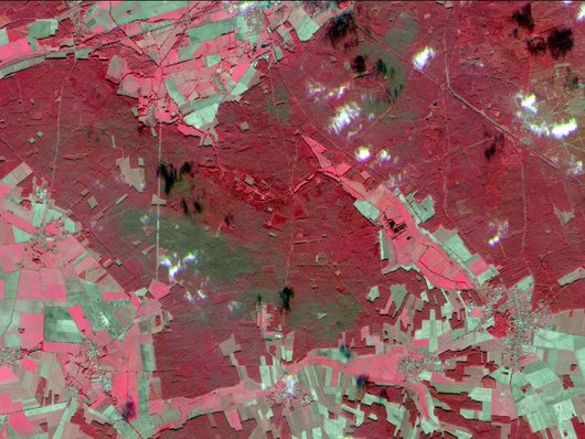 Die Abbildung zeigt grün eingefärbte Fraßzentren der Kiefernbuschhornblattwespe,  Aufnahme des Satellitensystems RapidEye 2009, RapidEye AG 