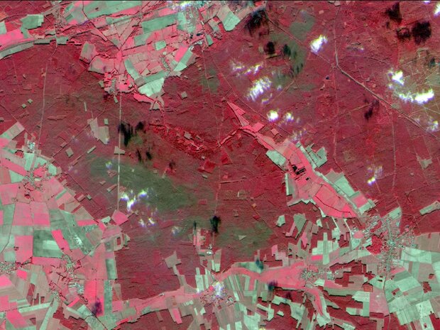 Die Abbildung zeigt grün eingefärbte Fraßzentren der Kiefernbuschhornblattwespe,  Aufnahme des Satellitensystems RapidEye 2009, RapidEye AG 