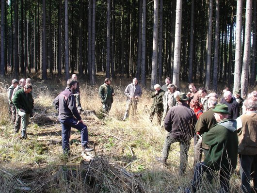Schulung privater Waldbesitzer:innen in der Borkenkäferbekämpfung im Wald