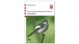 Titelseite der Veröffentlichung "Hasenblick"