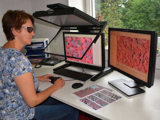 Frau sitzt vor Rechner mit mehreren Bildschirmen und trägt eine spezielle Brille.