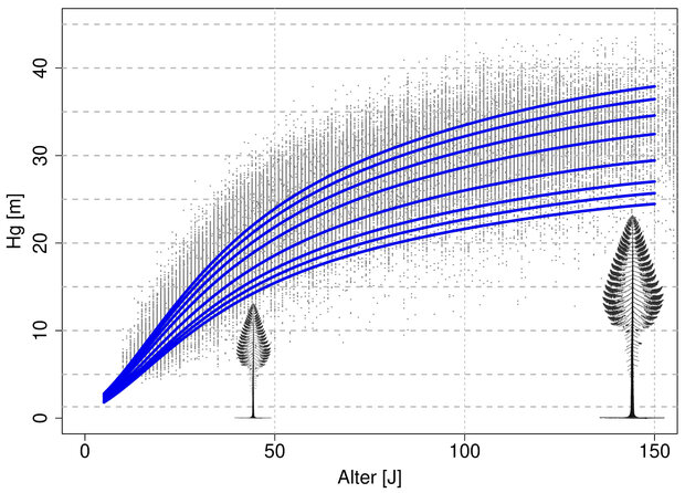 Statistische Grafik eines Bonitätsfächers