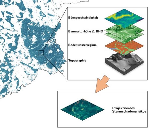 Umriss von Südniedersachsen, eingefärbt sind die Waldflächen nach ihrem Sturmschadensrisiko. Daneben sind beispielshalber verschiedene Geodaten (Topografie, Windböengeschwindigkeiten usw.) dargestellt, welche genutzt wurden, um das Sturmschadensrisiko zu berechnen.