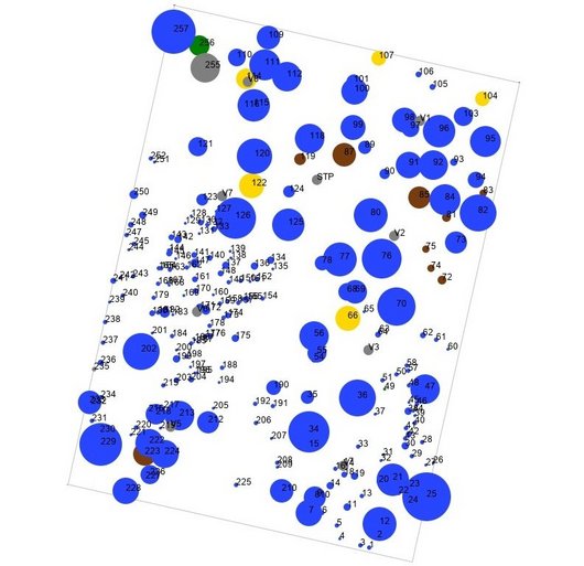 Grafik der Verteilung von Bäumen auf einer Fläche