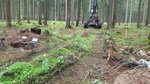 Befahren einer Waldfläche mit einer Erntemaschine
