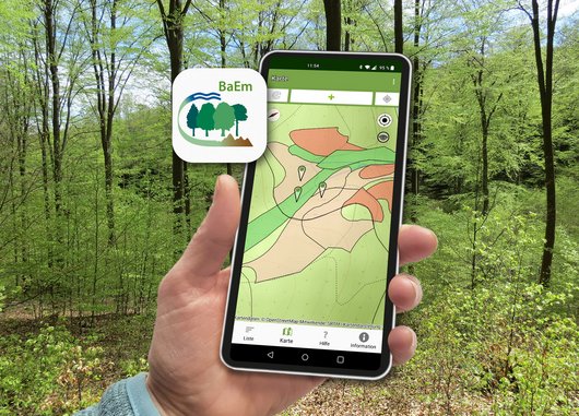 Das Bild zeigt einen Smartphonebildschirm mit der Anwendung „BaEm“ vor einem Buchenwald.