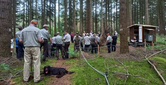 Forstleute bei einem Vortrag im Wald