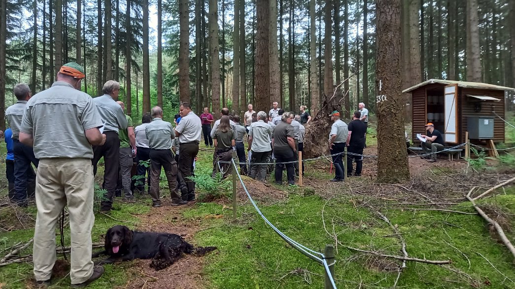 Forstleute lauschen einem Vortrag im Wald.