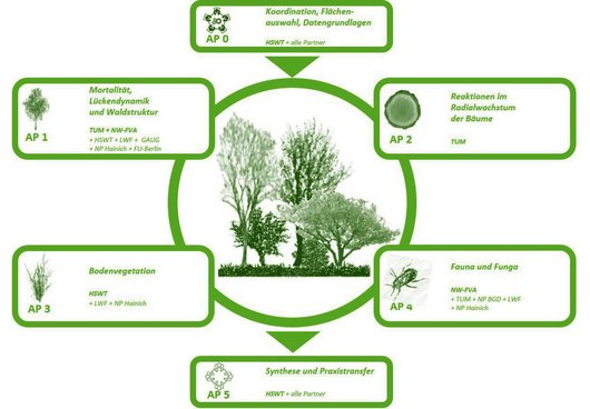 Grafische Darstellung der Aufgabenverteilung innerhalb des Projektes DANK