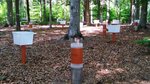 Messeinrichtungen in Laubwald