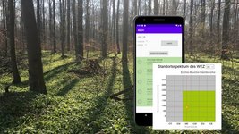 Smartphone-Ansichten vor Laubwald