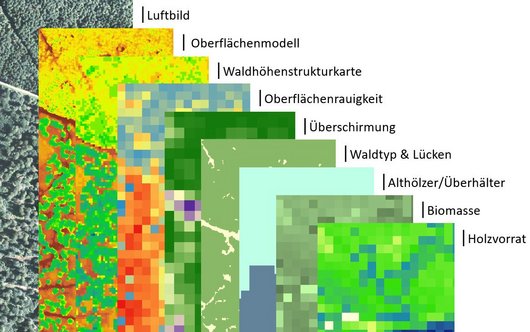 Schema zu Ableitung von Waldparametern aus Oberflächenmodellen digitaler Luftbilder