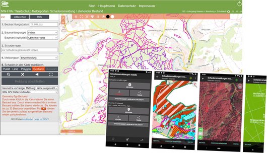 Screenshot des Waldschutz-Meldeportals