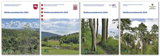 Titelblätter der Waldzustandsberichte der 4 Trägerländer von 2024