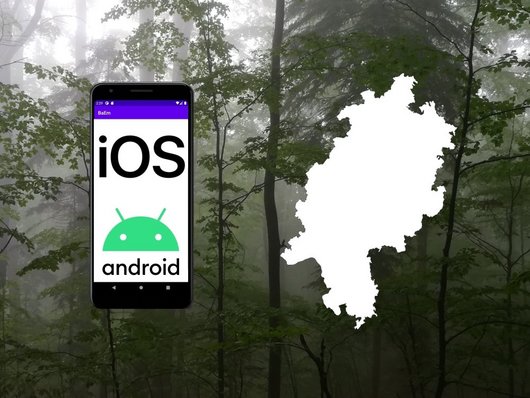 Auf dem Foto ist ein Waldbestand mit einer App, die auf Android und iOS in Hessen verfügbar ist und die Umrisse des Bundeslandes Hessen abgebildet. Foto: J. Sauer