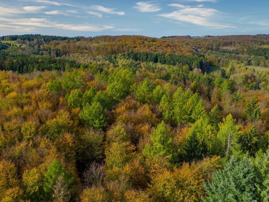 Auf dem Foto ist ein Luftbild einer Landschaft mit Wäldern abgebildet. Die Bildunterschrift lautet: Stabile und artenreiche Mischwälder – eine Zukunftsperspektive für viele Nadelholzreinbestände. Foto: BImA 